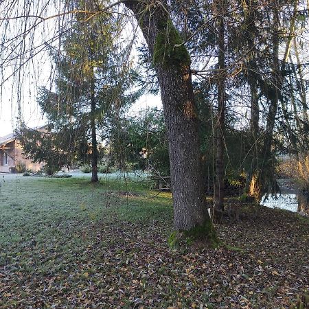 Gîte des Viviers -08400 Manre - de 1 à 2 personnes Esterno foto